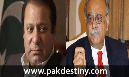 PCB-acting-chairman-Najam-Sethi-finally-sacked,-PM-Sharif-also-got-a-job-in-Pak-cricket-affairs