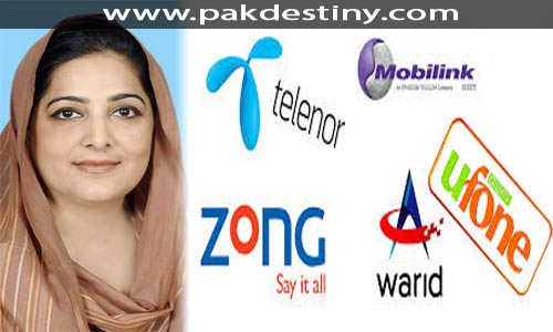 Telecom-companies-not-ready-to-buy-3-G-spectrum-on-high-rates-pakdestiny-