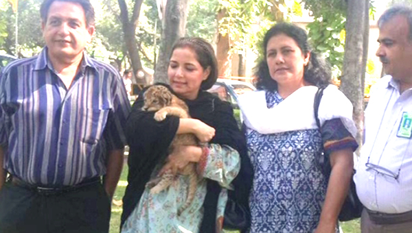 Babra Sharif is now officially 'Mother of Lion' (3)