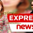 gharida farooqi,express news,sultan lakhani,maid scandal