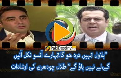 talal chaudhry,bilawal bhutto,vulgar talk