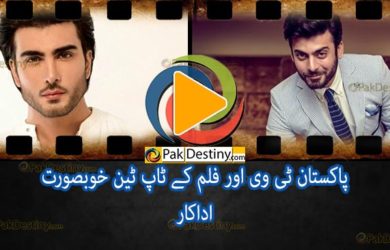 Top 10 Most Beautiful Pakistani TV and Film Actors