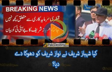 shahabaz sharif betrayed nawaz sharif