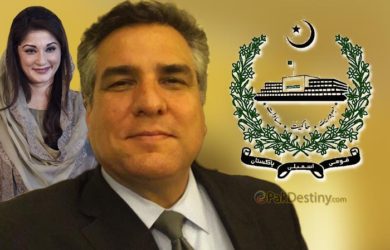 daniyal aziz,federal minister,privatezation,maryam nawaz