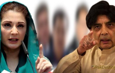 chaudhry nisar ali khan,maryam nawaz,child,politics