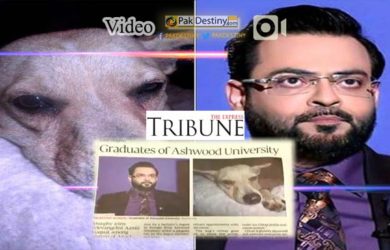 dog and amir liaquat graduates of ashwood uni