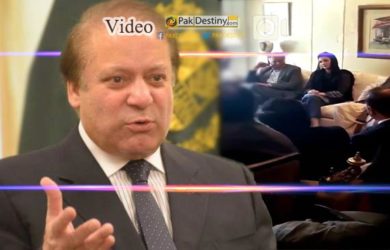 nawaz sharif pmln workers laughing lady work