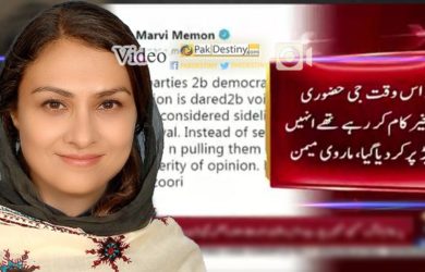 marvi memon critices pmln