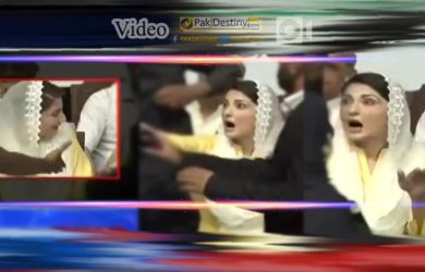 pmln worker got thrashing shake hand nawaz sharif