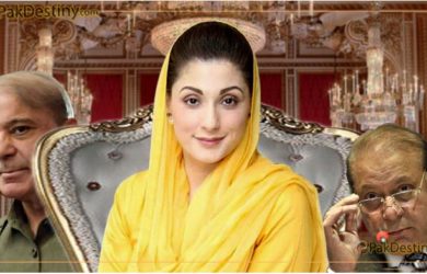 shahbaz sharif dummy president pmln maryam defacto head of pmln