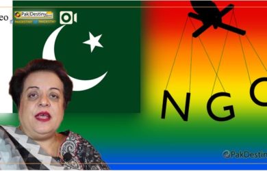 ngos-secret-anti-social-and-anti-state-activies-shireen-mazari