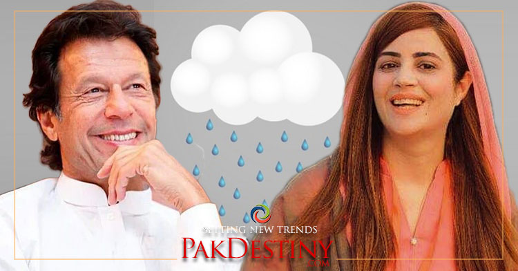 PTI Minister Zartaj's stooping too low surprises many,imran khan,rain