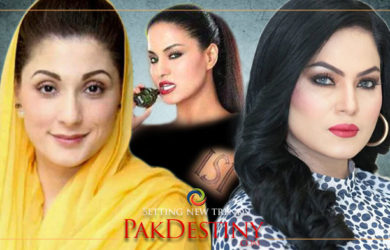 veena malik,maryam nawaz,pmln,social media