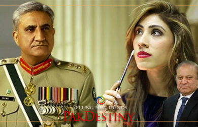 PMLN lawmaker discloses why it supported extension to army chief in parliament