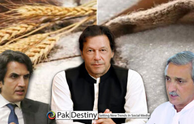 Will PTI government be ever accountable for causing a loss of Rs400bn in sugar and wheat blunder