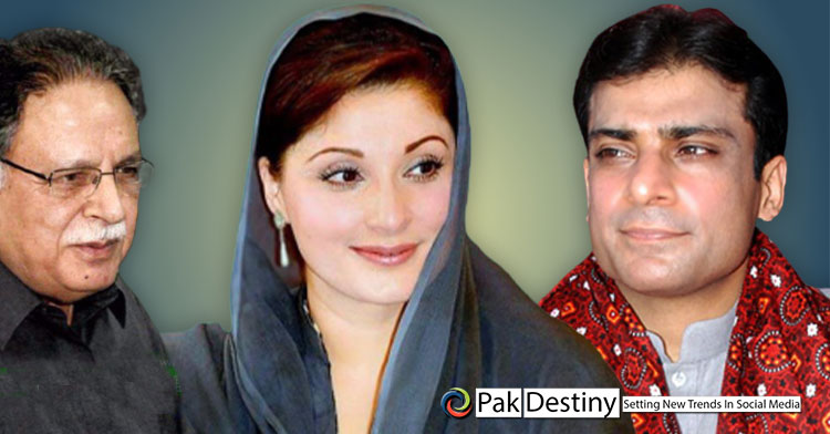Hamza has no appeal among masses as compare to Maryam: PMLN Senator spills the bean