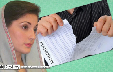 Maryam's frustration mounts as most PMLN lawmakers refuse to resign from assemblies