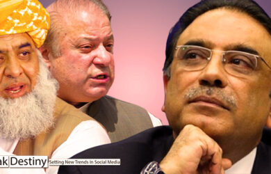 asif Zardari ditched fazlur rehman and nawaz sharif