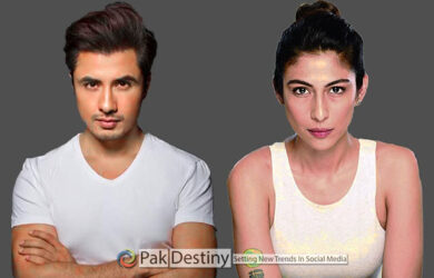 Meesha Shafi embarrassment in the defamation case filed against her by Ali Zafar