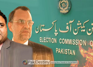 Swati and Fawad in hot waters as ECP sets to make example of them for their anti-institution rant