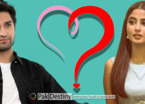 Ahad raza mir and Sajal aly 'break-up' rumours doing the round