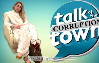 Farah Khan -- talk of 'corruption town' -- her luxurious life style stun many