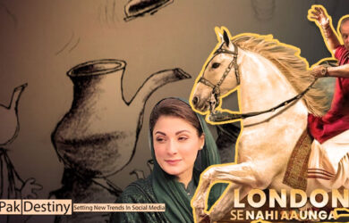 Nawaz, Maryam trolled for awarding tickets to lotas (turncoats)