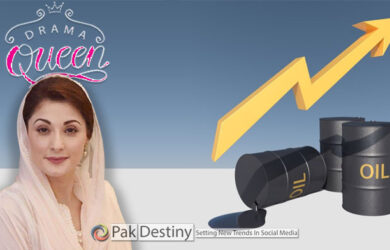 Maryam earns 'drama queen' title on Twitter on petroleum prices saga